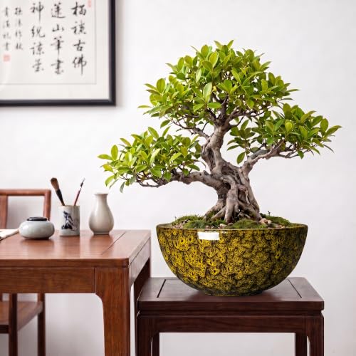 Succulent Pots, 10 Inch Ceramic Bonsai Pots, Yellow Leopard - color: Yellow Leopard-1, size: 10 Inch