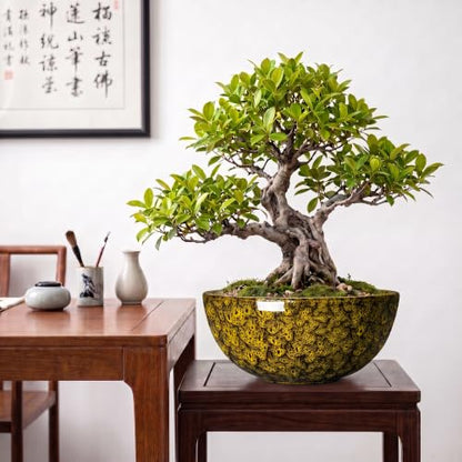 Succulent Pots, 10 Inch Ceramic Bonsai Pots, Yellow Leopard - color: Yellow Leopard-1, size: 10 Inch