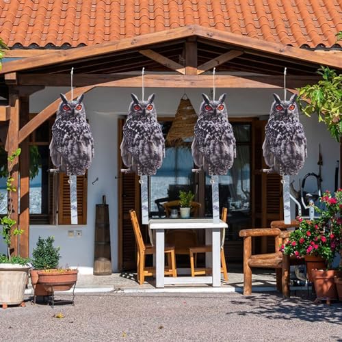 Owl Scarer for Gardens, 2Pack Fake Owl Hanging Effective Cardboard Owl Deterrent for Garden Patio Windows - color: 4 Feathered Owl02