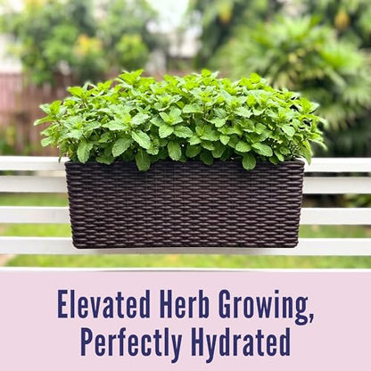 LaLaGreen Outdoor Rail Planter for Balcony (20 Inch, 2 Pack) Large Black Self Watering Railing Planters with Brackets, Rectangular Plastic Window Flower Box Fence Designer Choice with Rattan Pattern - color: Brown X 2