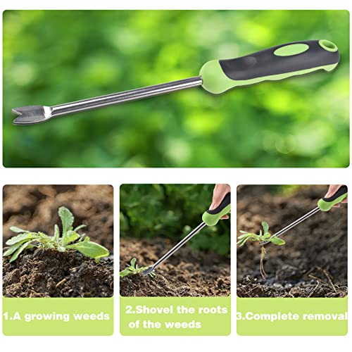 Dandelion Removal Tool, Weed Puller Tool, Hand Garden Tools