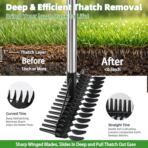 Thatch Rake for Lawns 36-63" Stainless Steel Adjustable Handle