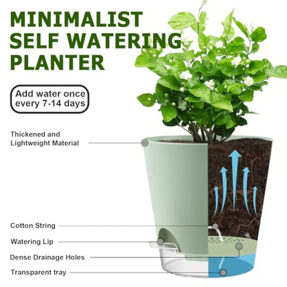 5/5.5/6/6.5/7/8 Inch Self Watering Pots Visible Water Level Indoor/Outdoor - color: Green
