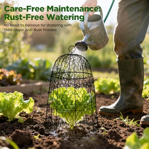 12 Pack XL Metal Garden Cloches for Plants, 17" Tall Chicken Wire Cloches