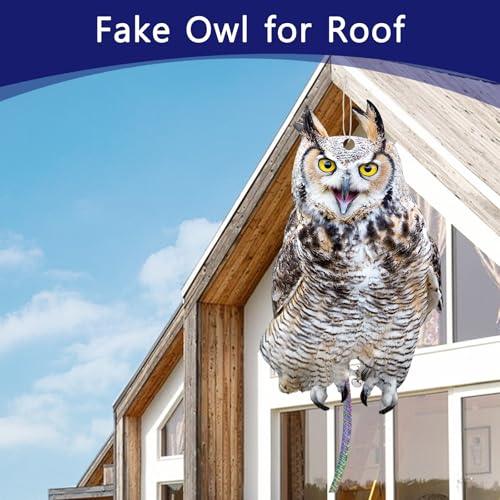 2PCS Flat Plastic Owls to Keep Woodpecker Away from House - color: Light Grey Owl 2pcs