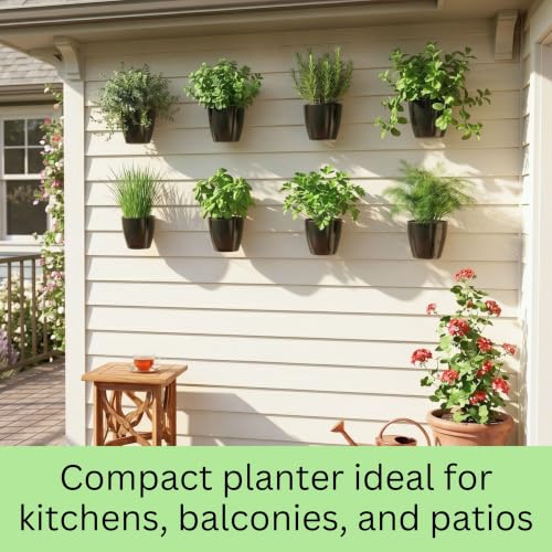 LaLaGreen Indoor Wall Planters (5in, 10 Pack) Self Watering Hanging Pots - size: 5" (12.5 cm)