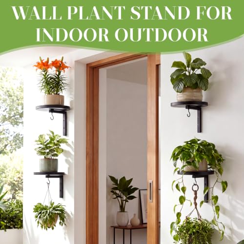 6 Pack Wall Plant Holders 7.9 Inch Black Metal Hanging Plants Hanger Shelves Heavy Duty Rustproof Iron Floating Window Plant Display Stand with 6 Hooks for Indoor Outdoor Wall Art Decor