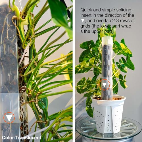 8 Pack 17 Inch Plastic Moss Pole for Monstera - color: Transparent*8pc