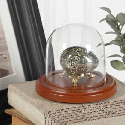 Plymor 3" x 3" Glass Display Dome Cloche (Walnut Base) - color: Walnut Base
