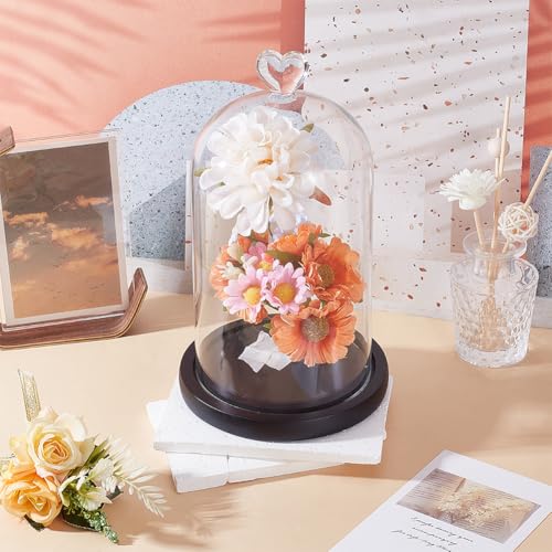 UNICRAFTALE Clear Cloche Glass Dome 4.8"x9.05" Glass Dome Cloche Antique Collectibles Dome Showcase Decorative Bell Jar with Heart Handle for Plants Fairy Lights Table Decor Medal Photos - size: 12.3x23cm