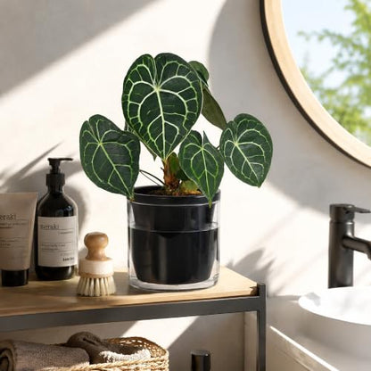 D'vine Dev Self-Watering Black Terracotta Planter, 6 in, 2-Pack, 37-Y-B-3 - color: Black, size: 6 Inch