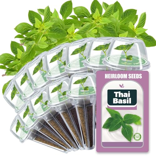 Basil Seed Pods for All Hydroponics Growing Systems, 12 Pods Herb Kit with 400+ Seeds of Thai Basil, Grow Your Own Herb Garden at Home - color: Thai Basil