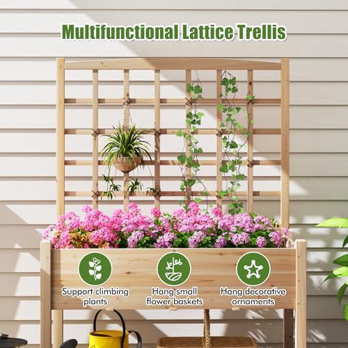 HAPPYGRILL Raised Garden Bed with Lattice Trellis & Legs - size: 47" x 24" x 63"