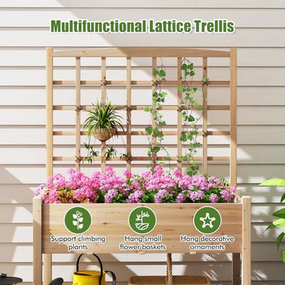 HAPPYGRILL Raised Garden Bed with Lattice Trellis & Legs - size: 47" x 24" x 63"