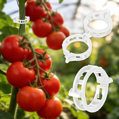 300Pcs Thickened Tomato Clips, Plant Support Clips Plastic Trellis Clips - color: White