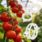 300Pcs Thickened Tomato Clips, Plant Support Clips Plastic Trellis Clips - color: White
