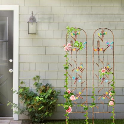 aboxoo 2-Pack Dragonfly Metal Garden Trellis for Climbing Plants