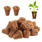 150PCS Seed Starter Plugs, Grow Sponges Compatible with Hydroponic Trays