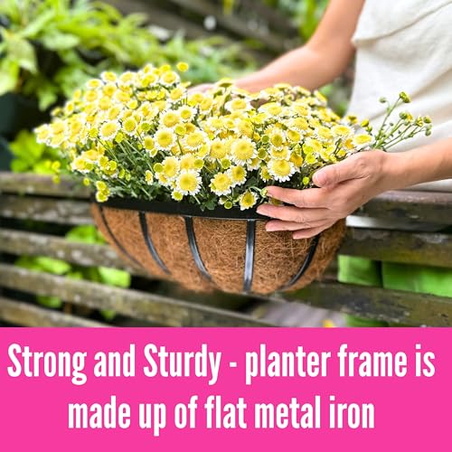 LaLaGreen Outdoor Wall Planter (16 in, 2 Pack) Black Window Flower Box - size: 16" x 2