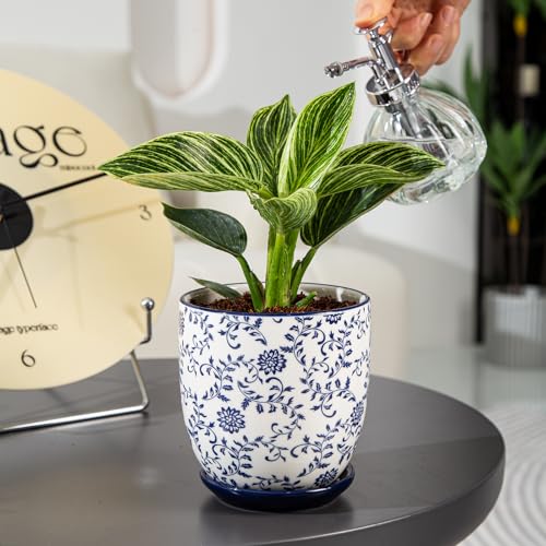 4.6 Inch Ceramic Small Succulent Planter Pots Set of 4 - size: 4.6 Inch