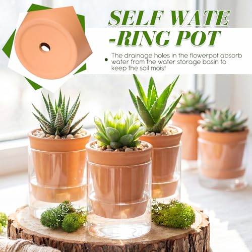 Baderke 2 Pcs 4 Inch Self Watering Pot for Indoor Plants Clear Glass Planter Small Plant Pot with Saucer Reservoir Drainage Holes Bottom Watering for African Violet Orchid Flowers (Terracotta Style) - style: Terracotta Style