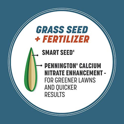 Pennington Smart Seed Northeast Mix 3lb, Grass Seeds for Lawn - size: 3 lb