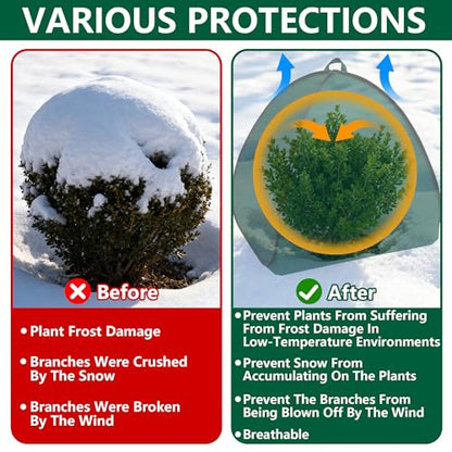2 Pcs Pop Up Shrub Covers Frost Protection Tent, 38" x 36" x 36" Winter Plant Cover Freeze Protection, Warm Garden Plant Protector Tent for Protecting Outdoor Shrub Fruit Potted Plants from Snow & Ice - color: 36 x 36 x 38 inch