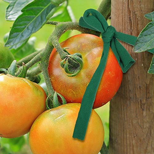 BBTO 98 Feet Stretchy Garden Twine Plant Tie Green Tape, 1 Roll