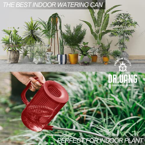 Small Watering Can Indoor Plants with Long Spout (1L, Red) - color: Red