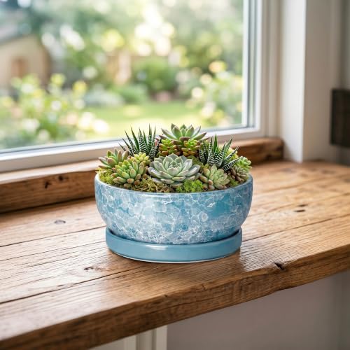 Bonsai Tree Pots 6 Inch, Ceramic Succulent Planters, Droplet Blue - color: Droplet Blue, size: 6 Inch