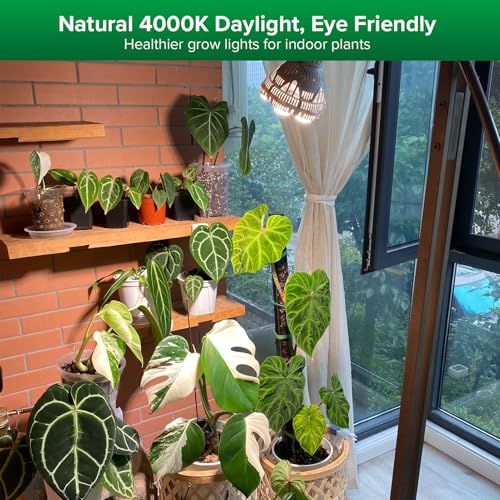 SANSI Grow Light Bulbs for Indoor Plants, 24W Full Spectrum 4000K Daylight