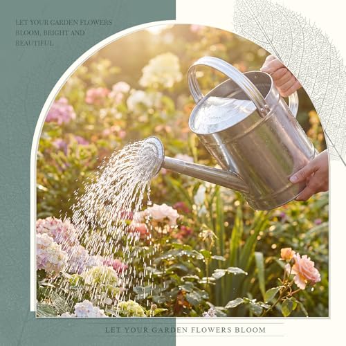 Geetery 2 Gallon Galvanized Metal Watering Can, Removable Spout,Silver