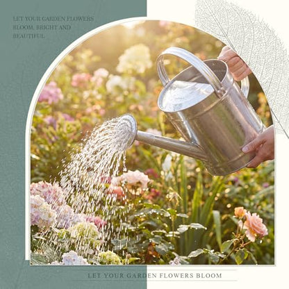 Geetery 2 Gallon Galvanized Metal Watering Can, Removable Spout,Silver