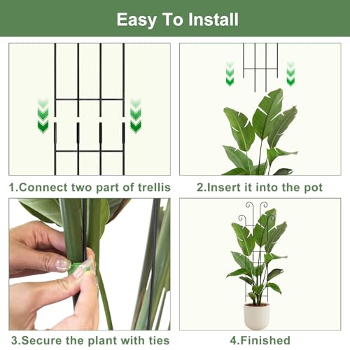 Coomin 32.6in Monstera Plant Support, Plant Trellis Indoor 4P - size: 32.6in/4p