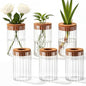 6 Set Propagation Station Jar Desktop Glass Planter Station Flower Vases Water Terrarium Jar with Cork Lid for Propagating Flower Plants Centerpiece Office Home Garden Decor (Small) - size: Small