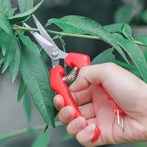 Stainless Steel Garden Snips and Herb Scissors, Flower Shears for Cutting Fresh Flowers with Comfort Grip Handles, Pruning Snips for Home Garden