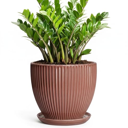 10 Inch Planter, Ceramic Flower Pot with Saucer, Rust Red - color: Rust Red, size: 10 Inch