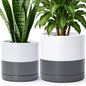 D'vine Dev 2-Pack Ceramic Pots with Saucers, 8/10 in, White/Grey, 94-G-L-6 - color: White/Speckled Grey, size: Large