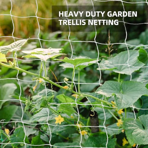 Heavy Duty Garden Trellis Netting, 6 x 30 ft, White, Rectangular, Reusable, Supports Vine Vegetables Fruits Flowers, Ideal for Vertical Horizontal Gardening - size: 6x30ft - 2 Pack