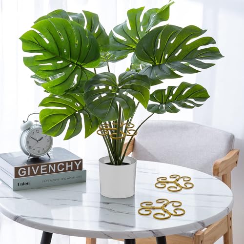 BADAO 6pcs Monstera Plant Support,Iron Stabilizer Grapple Holder for Plants