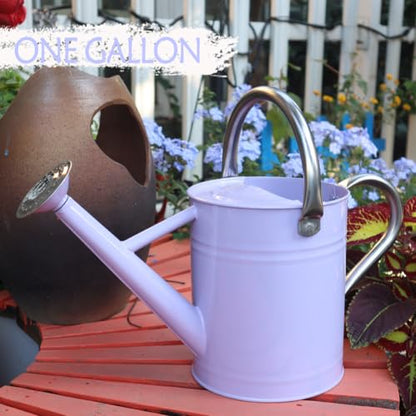 Metal Watering Can 1 Gallon for Outdoor Garden Plants,Purple - color: Purple With Stainless Steel Handle