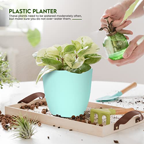 Plant Pots Indoor with Drainage, 5 Pack Multi-Size Planters Set, Aqua - color: Aqua, size: Pack of 5
