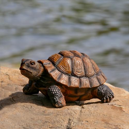 AETVRNI Turtle Figurine Garden Statue Resin Animal Sculpture Realistic Turtle of Polyresin Garden Patio Lawn Yard Outdoor Decorative,M - size: Medium