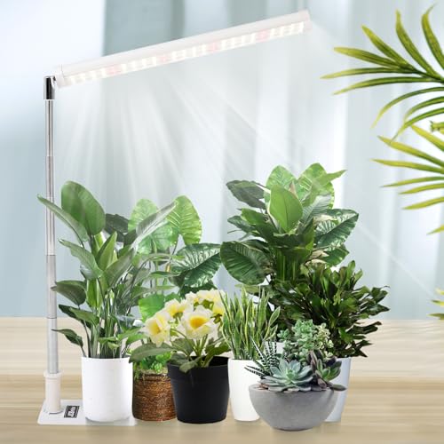 Standing LED Plant Light，Adjustable T10 Grow Light Bar, Full Spectrum Plant Grow Lamp on Stand for Indoor Plants Seed Starting, Seedlings, Veg, Flower - size: T10 Single Head