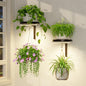 LASZOLA Plant Hanger Holder Shelf Wall Indoor with Lights, 2 Pcs Black - color: Black, size: 2