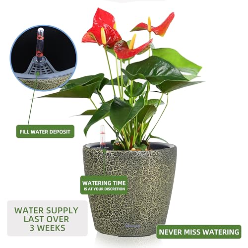 Dexceder 9x8 Self Watering Planter (Black Gold Crackle) - color: Black Gold, size: 9x8