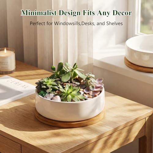 ZOUTOG 4 Pack 6" Ceramic Succulent Pots, White Planters with Drainage Tray - color: 4 Pack, size: 2.28 Inch High