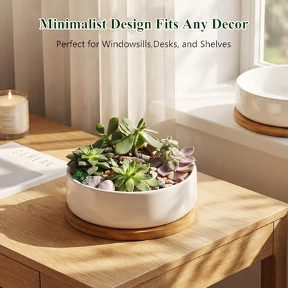 ZOUTOG 4 Pack 6" Ceramic Succulent Pots, White Planters with Drainage Tray - color: 4 Pack, size: 2.28 Inch High