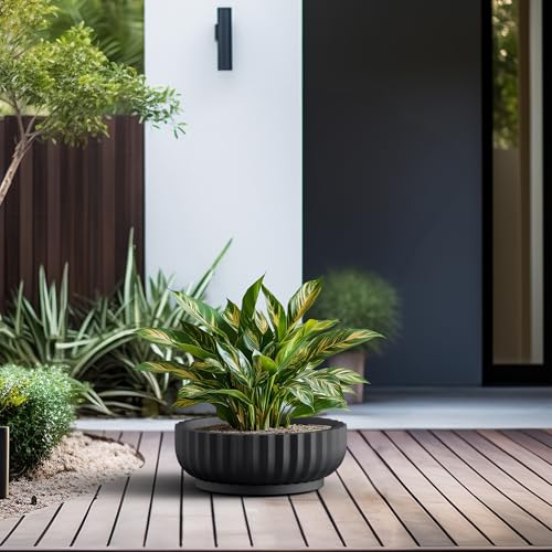 Kante Small Round Shallow Black Concrete Planter 14.6" Dia, Outdoor - color: Black, size: 14.6"w x 5.5"h