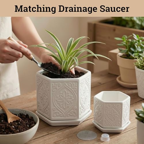 Ceramic Pots for Plants Set of 2, 6-Inch & 4-Inch Wide w/ Drainage & Saucer